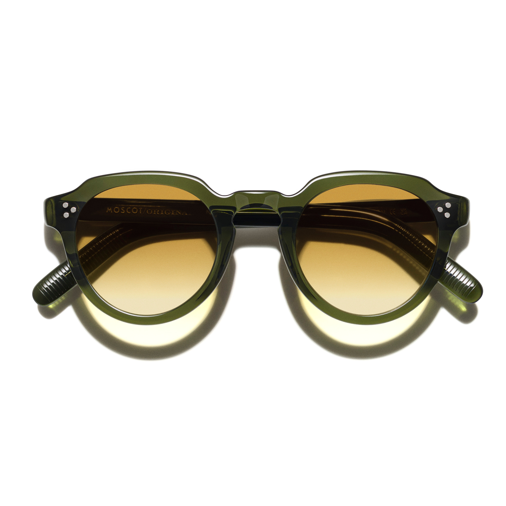 Moscot - Gavolt Sun